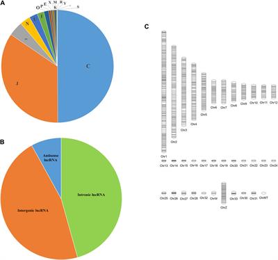 Breed and timepoint-based analysis of chicken harderian gland transcriptome during Newcastle disease virus challenge